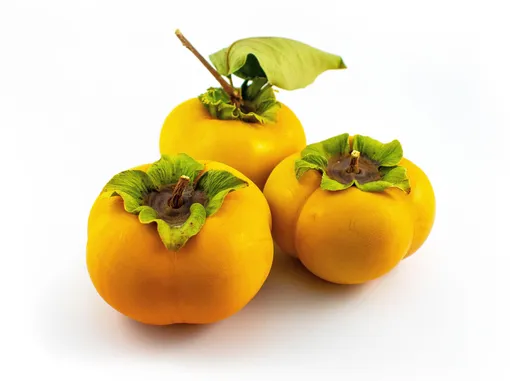 сорта хурмы фуйю