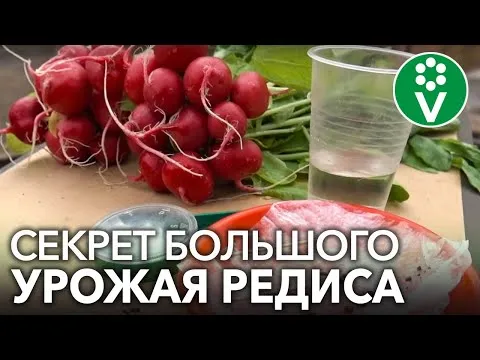 Нажми и смотри