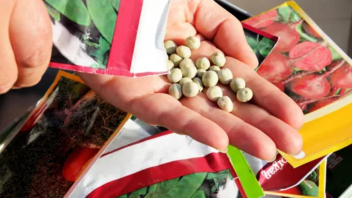 Выбирать только дешёвые пакеты