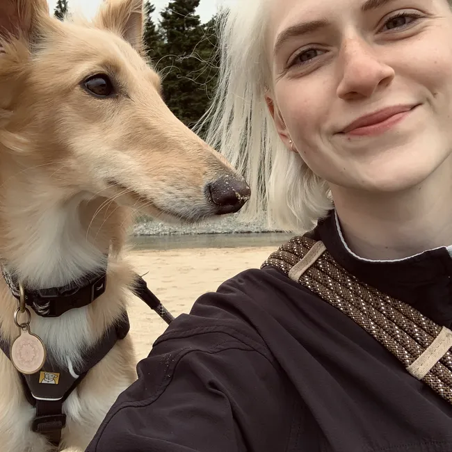 Язык любви вашей собаки: как она проявляет чувства и как понять, что вы ей нравитесь