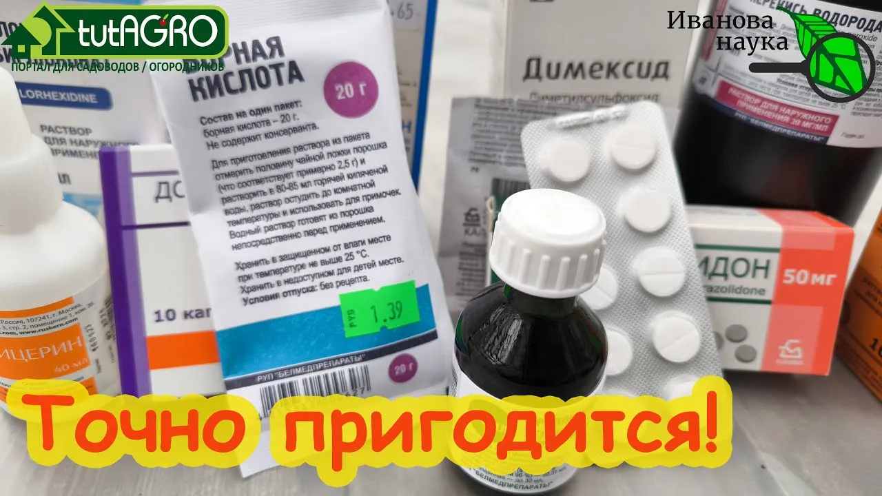 Нажми и смотри Нажми и смотри