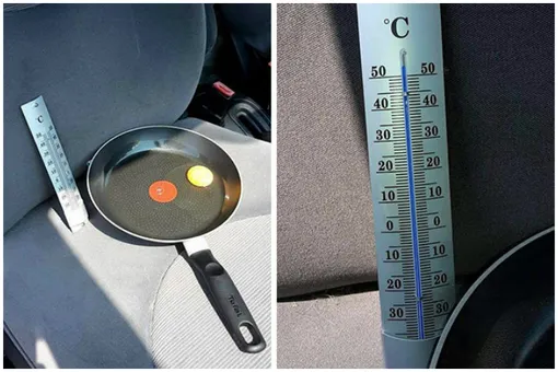 «Нельзя так поступать с животными!» Эксперимент на жаре произвел впечатление на публику «Нельзя так поступать с животными!» Эксперимент на жаре произвел впечатление на публику