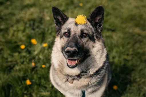 Фонд РЭЙ Фонд РЭЙ