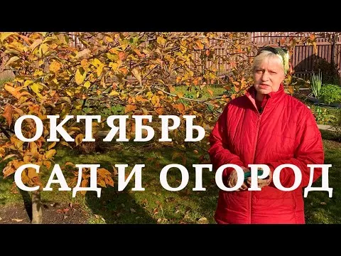 Нажми и смотри