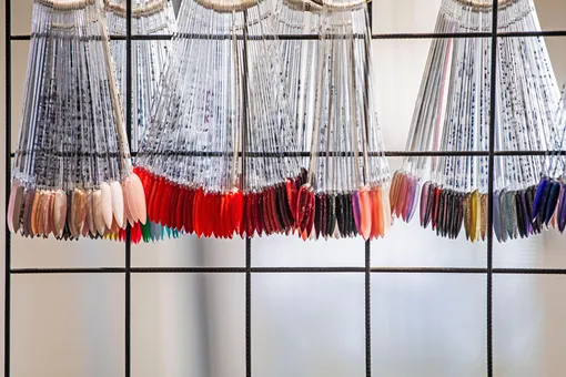 Денежным цветом ноября 2025 года астрологи назвали фиолетовый