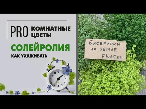 Нажми и смотри