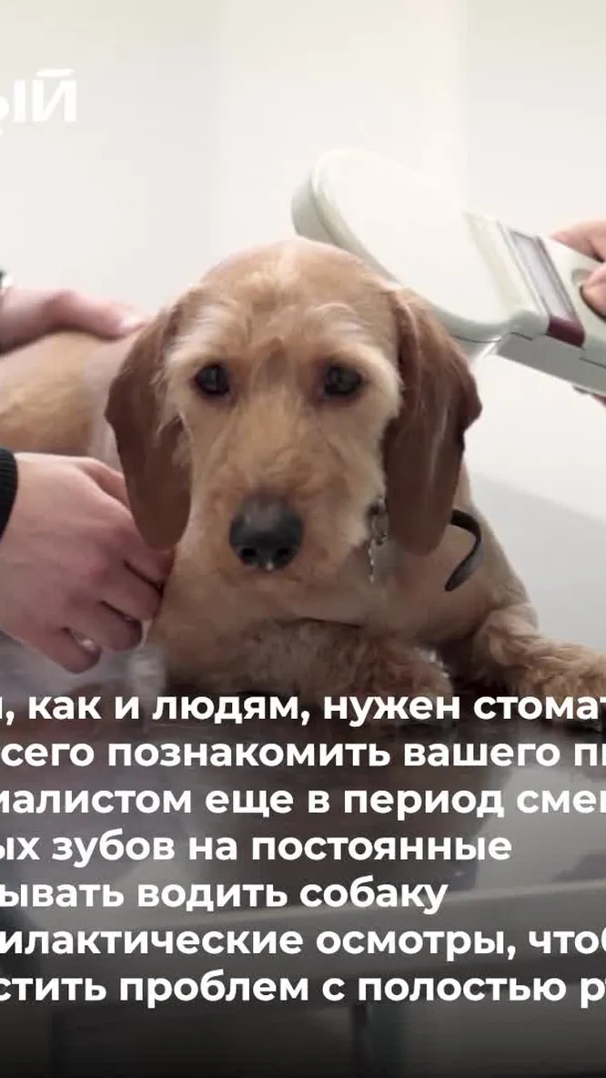 Нажми и смотри