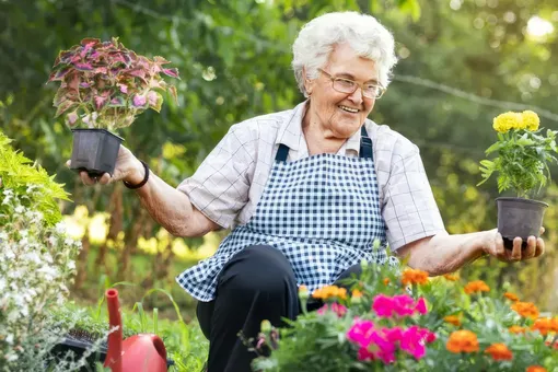 Посадите один раз и наслаждайтесь десятилетиями: 7 лучших долгоживущих многолетников для вашего сада