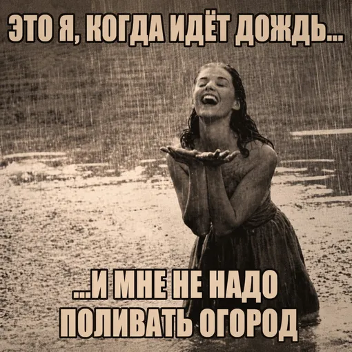 дачные мемы смешные