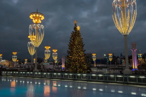 каток на вднх