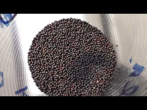 Нажми и смотри