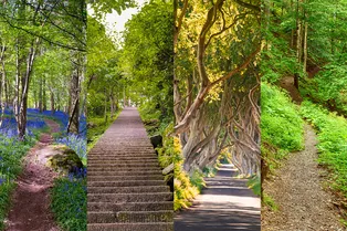 Психологический тест: выберите картинку и узнайте, что вам мешает
