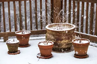 6 простых способов защитить уличные горшки от растрескивания зимой