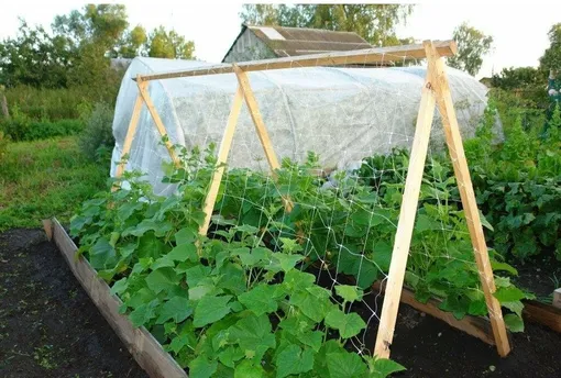Шпалера для огурцов в виде буквы «А»