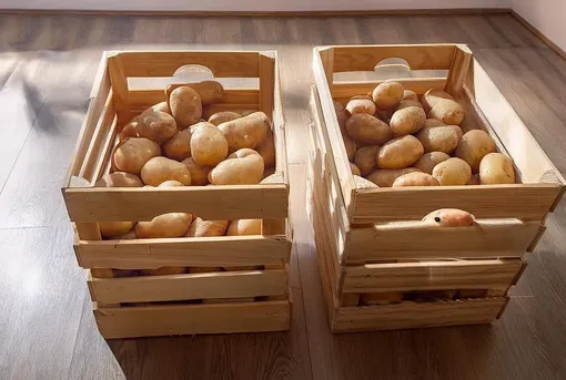 Шаг пятый: профилактика — чтобы не повторить ошибку в хранении картошки Шаг пятый: профилактика — чтобы не повторить ошибку в хранении картошки