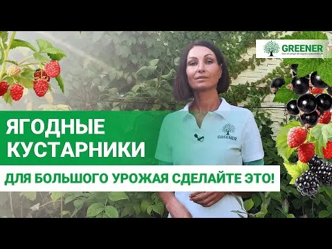 Нажми и смотри