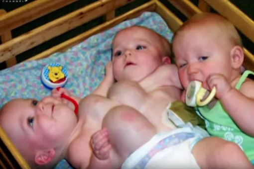 Только любовь. Как живет самая редкая тройня в мире Только любовь. Как живет самая редкая тройня в мире