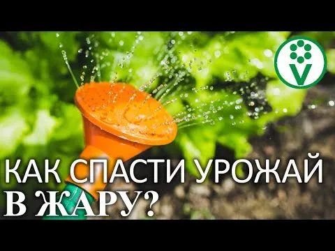 Нажми и смотри