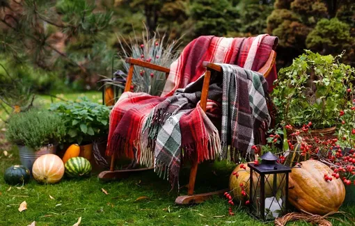 Как подготовить сад и огород к зиме: лунный календарь дачника на неделю с 10 по16 ноября 2025 года