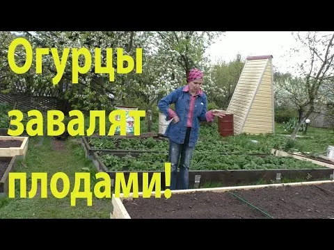Нажми и смотри Нажми и смотри