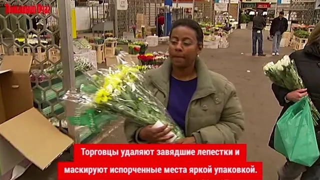 Нажми и смотри Нажми и смотри
