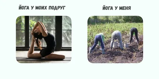 мемы про дачу
