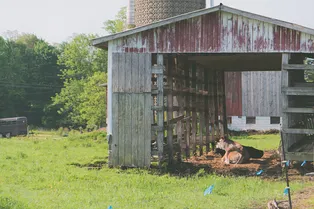 11 вещей, которые не стоит хранить в сарае — даже если кажется, что там им самое место 11 вещей, которые не стоит хранить в сарае — даже если кажется, что там им самое место