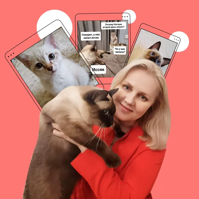 «Наташа, мы всё уронили»: как ростовчанка придумала «мемный» блог и влюбила в своих котов 10 тысяч подписчиков