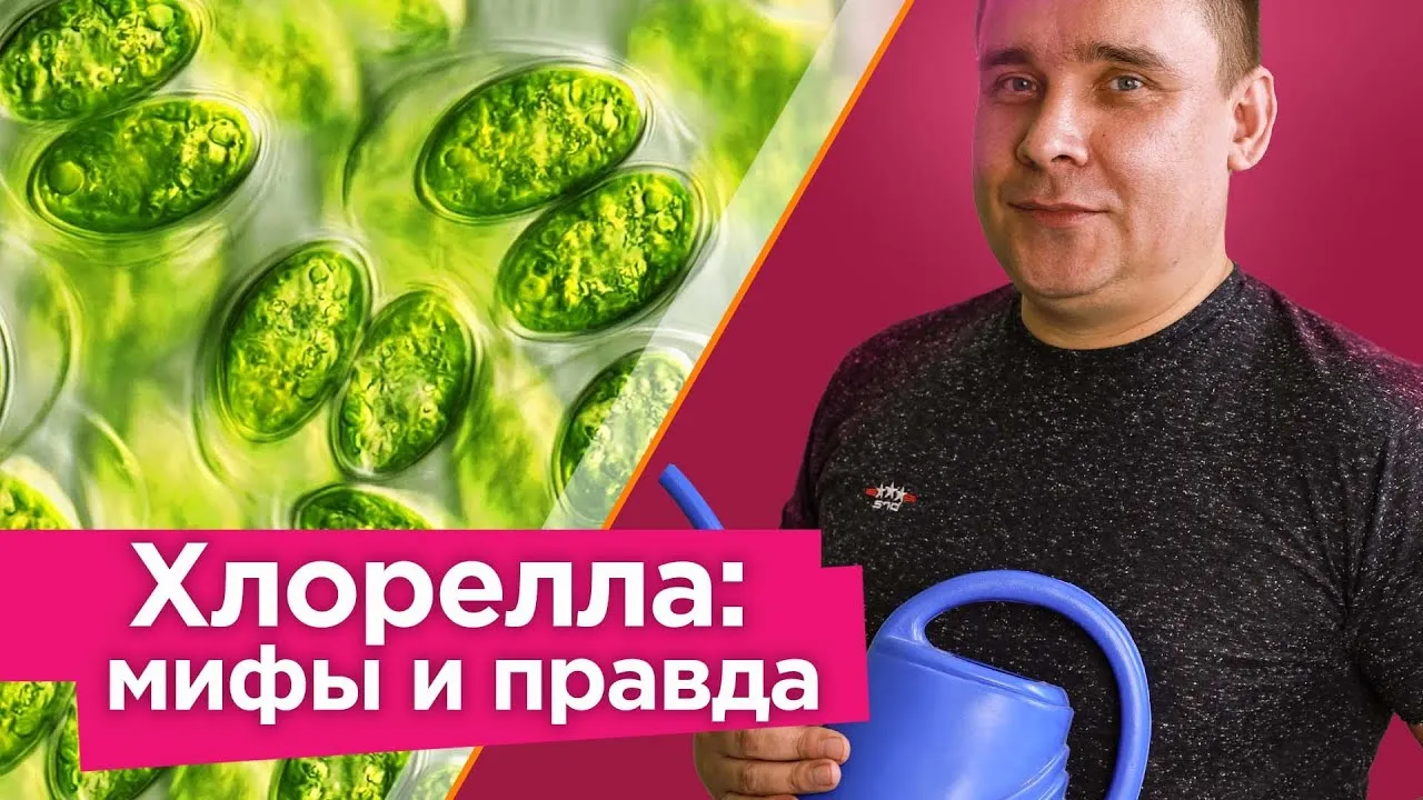 Нажми и смотри
