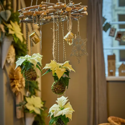 Кокедамы в лесном стиле