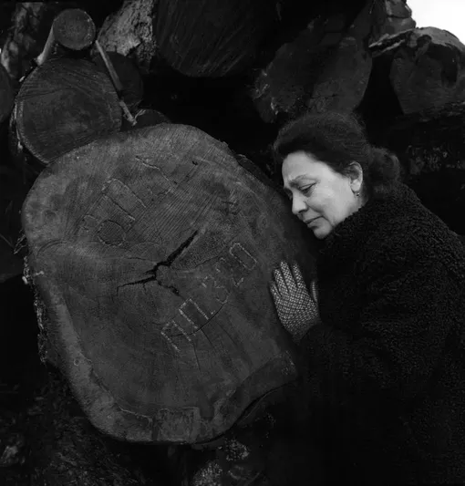 Тенгиз Абуладзе