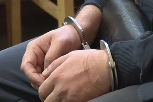 Сотрудника цирка задержали по подозрению в сексуальном насилии над несовершеннолетними