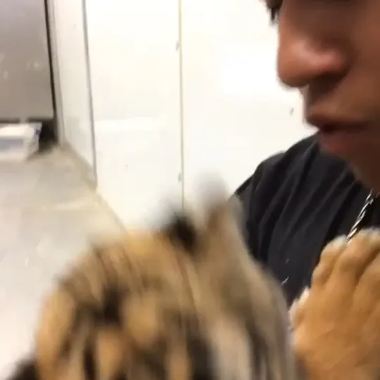 Нажми и смотри Нажми и смотри