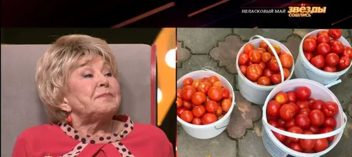 Вовк заявила, что такие помидоры ей удалось вырастить благодаря знакомому агроному Вовк заявила, что такие помидоры ей удалось вырастить благодаря знакомому агроному