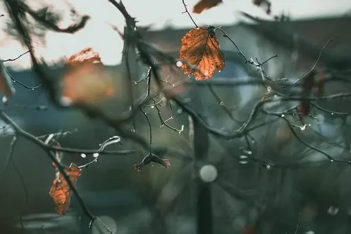 Как пережить ноябрь: гениальная шпаргалка от психолога Как пережить ноябрь: гениальная шпаргалка от психолога