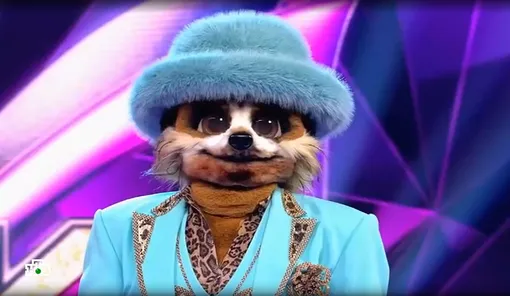 Сурикат получил от зрителей иммунитет