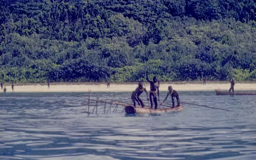 Сентинельцы жестоки по отношению к чужакам