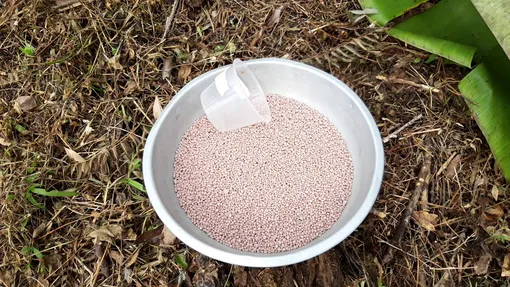 Для каких растений следует применять диатомит