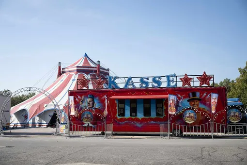 Смерть под куполом: 27-летняя воздушная гимнастка погибла во время выступления в цирке Смерть под куполом: 27-летняя воздушная гимнастка погибла во время выступления в цирке