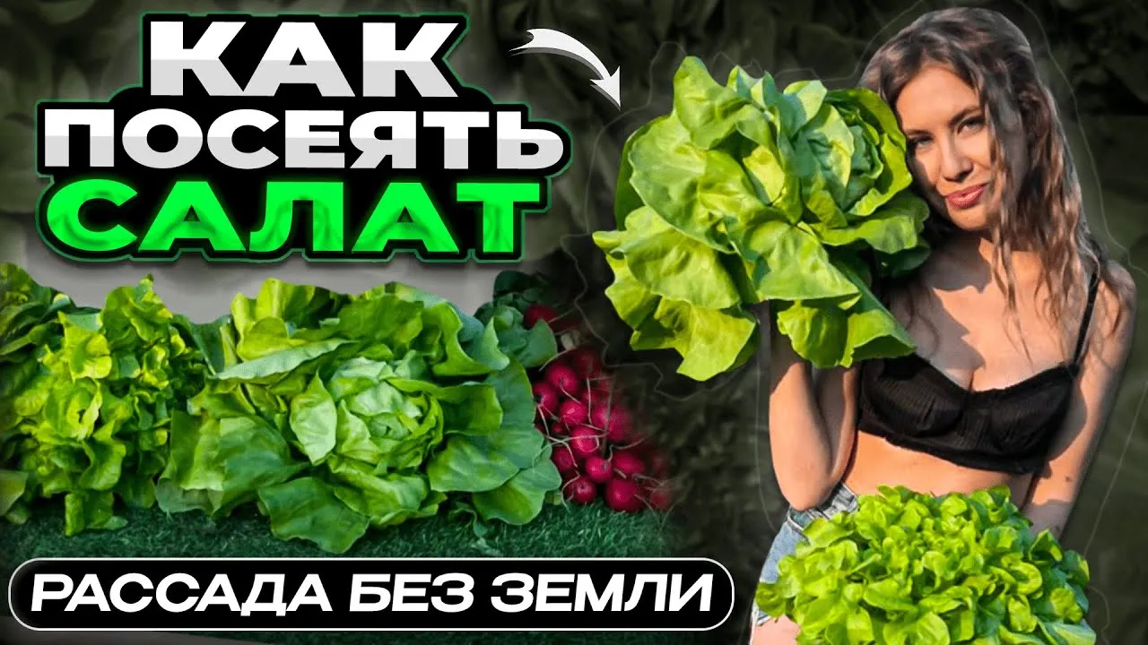 Нажми и смотри