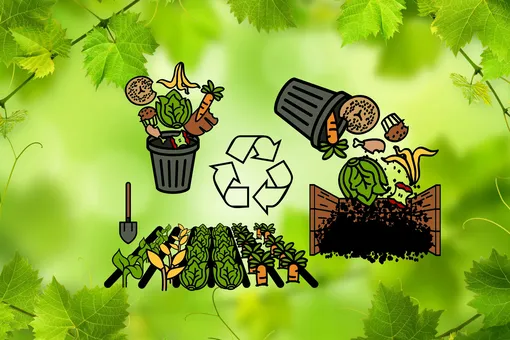 Что нельзя класть в компост, чтобы не испортить удобрение: непростительные ошибки огородников Что нельзя класть в компост, чтобы не испортить удобрение: непростительные ошибки огородников