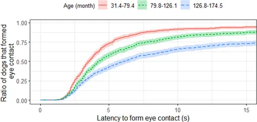 График связи возраста собак в месяцах со скоростью и продолжительностью зрительного контакта График связи возраста собак в месяцах со скоростью и продолжительностью зрительного контакта