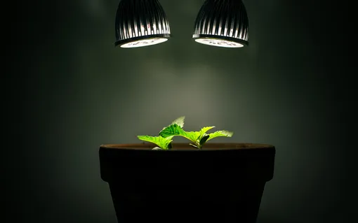 Галогенные лампы и традиционные лампы накаливания Галогенные лампы и традиционные лампы накаливания