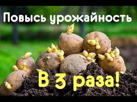 Нажми и смотри