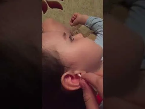 Нажми и смотри Нажми и смотри