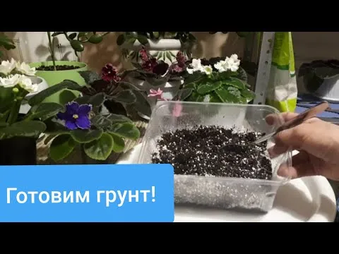 Нажми и смотри Нажми и смотри