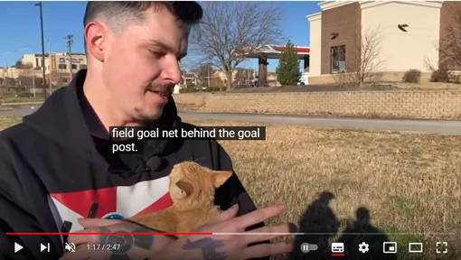 спасение котенка на стадионе спасение котенка на стадионе