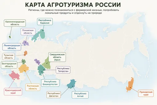 Регионы агротуризма в России фото инфографика