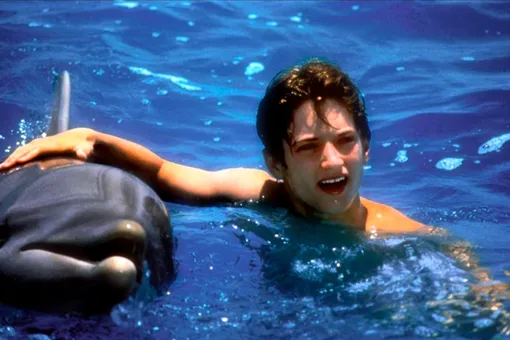 Флиппер Флиппер