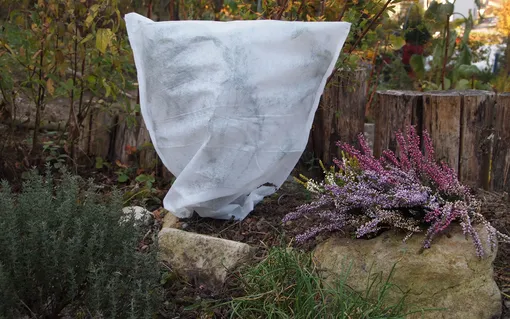 Защита растений от заморозков Защита растений от заморозков